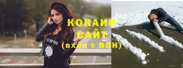 хмурый Алексин