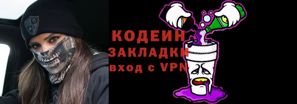 хмурый Алексин