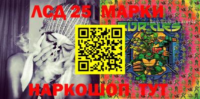 гидра Новозыбков
