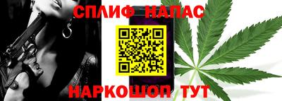 гидра Новозыбков