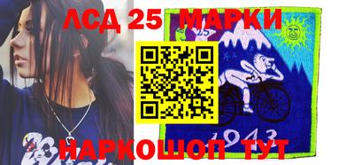 гидра Новозыбков
