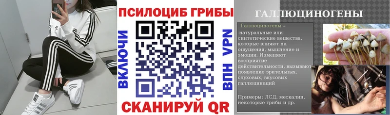 Псилоцибиновые грибы GOLDEN TEACHER  наркотики  это клад  Усть-Илимск 