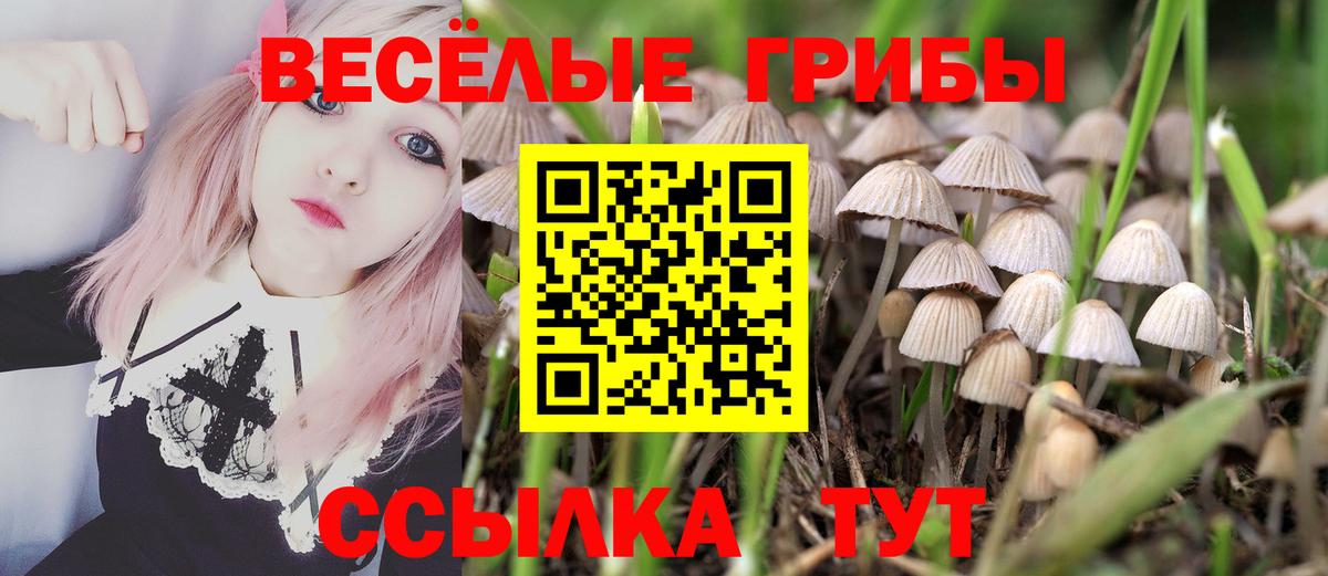 Псилоцибиновые грибы Psilocybe Усть-Илимск